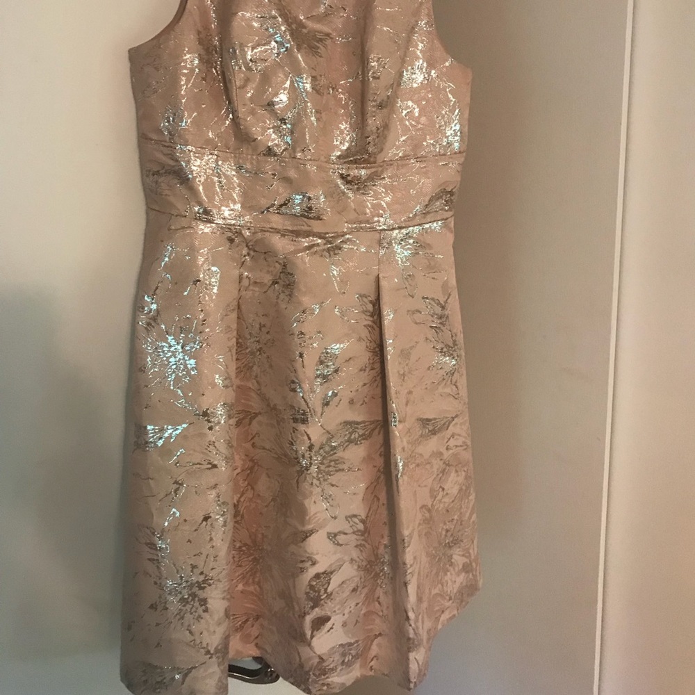 Stunning pale pink dress with gold.